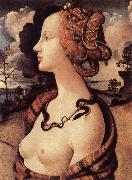 Piero di Cosimo Portrat of Simonetta Vespucci china oil painting artist